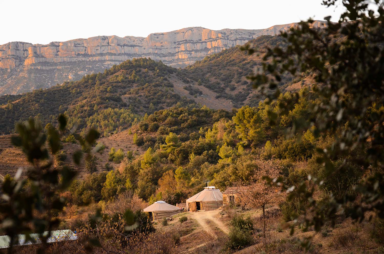 yurts-nature